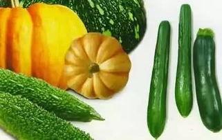 小信老吃瓜,揭秘娱乐圈那些不为人知的幕后故事