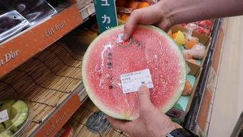 韩国群众吃瓜视频大全