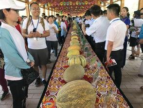 全国观众吃瓜,一场全民娱乐盛宴