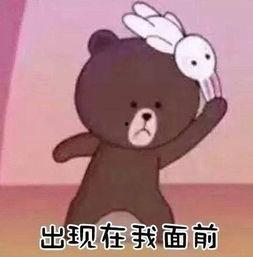 吃瓜小熊自信表情包,萌态可掬，笑翻网友