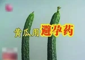 吃瓜视频黄瓜,黄瓜界的“网红”新宠