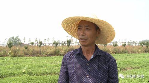 宿迁沭阳吃瓜,探寻宿迁特色美食之旅