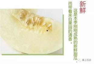 宿迁沭阳吃瓜,探寻宿迁特色美食之旅