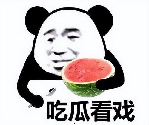 嗑瓜吃瓜表情包图片搞笑,嗑瓜吃瓜表情包，欢乐无限
