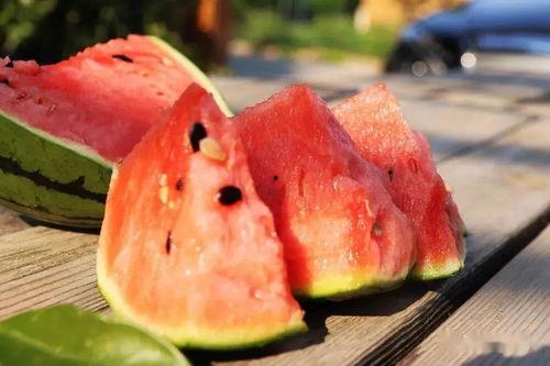 颖学姐上林吃瓜,揭秘校园热点背后的故事