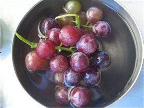 酥瓜和葡萄能一起吃吗